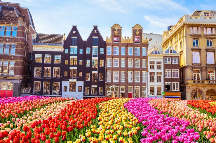 Photo of Amsterdam in the Netherlands in front of a field of tulips