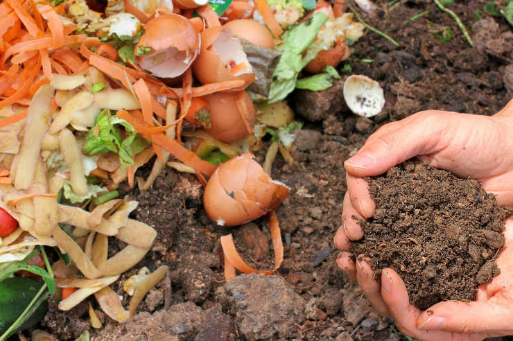 Composting at home At home composting | How to reduce your waste | An Post Insurance