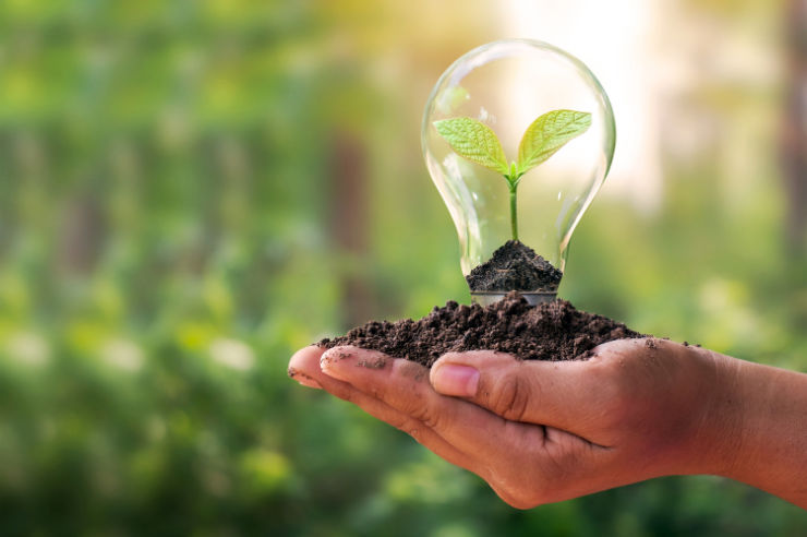 Conserving energy Lightbulb growing plant in soil | How to live more sustainably in Ireland | An Post Insurance