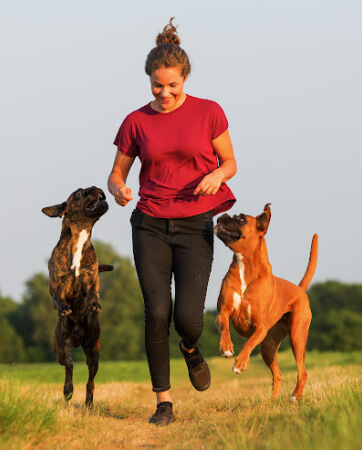 Woman on a run with two dogs – An Post Insurance
