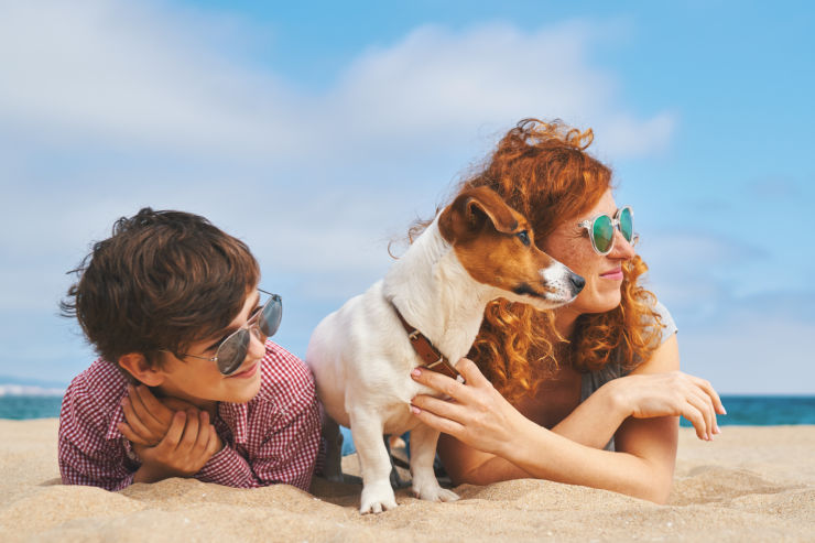 Bringing your dog to the beach | Pet Insurance Quote | An Post Insurance