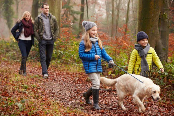 family walking their dog Family on a forest walk with their pet dog | An Post Insurance
