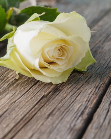 Funeral Cost | Human About Insurance | An Post Insurance