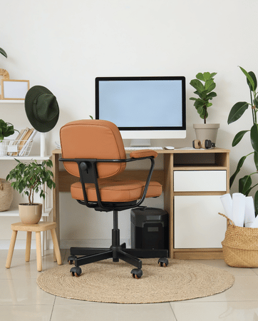Bright, open desk space with desktop computer and various plants