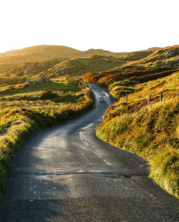 Irish Agricultural Exports | Farm Insurance | An Post Insurance