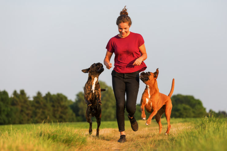 Woman on a run with two dogs – An Post Insurance