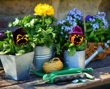 flower pots | Home Insurance | An Post Insurance