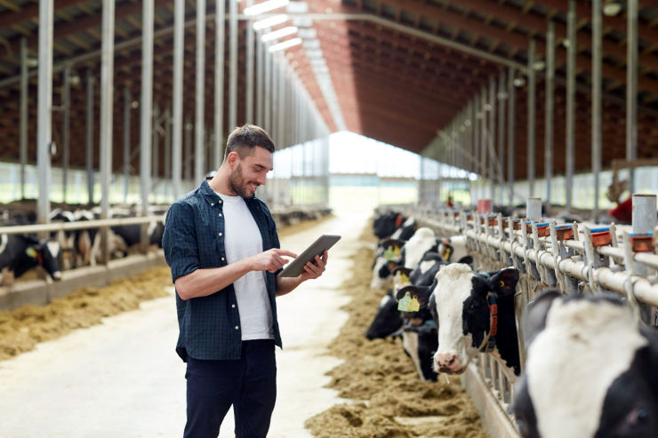 Farmer working on tablet | Agriculture in Ireland | An Post Insurance