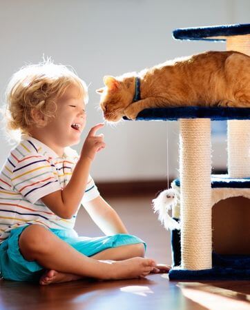 Little boy with his cat| Pet Accessories | An Post Insurance