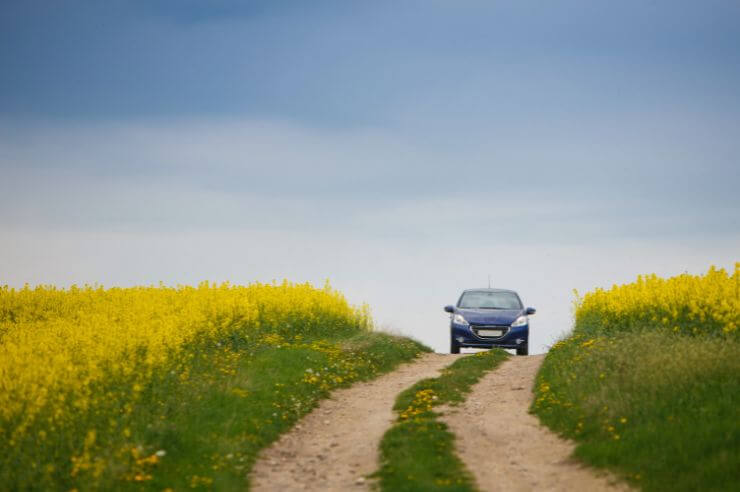 Blue Peugeot 208 from afar, driving on country road