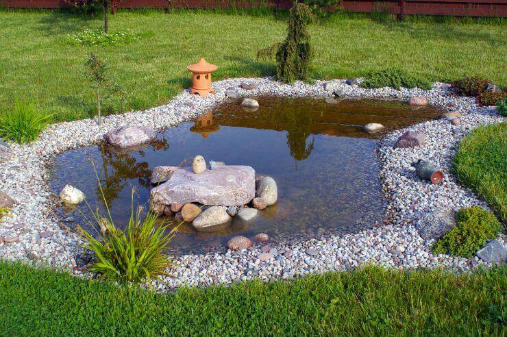 Pond Small pond surrounded by stones and grass