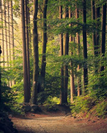 10 Ways to Cut your Energy Bills while looking after the planet | Home Insurance | An Post Insurance