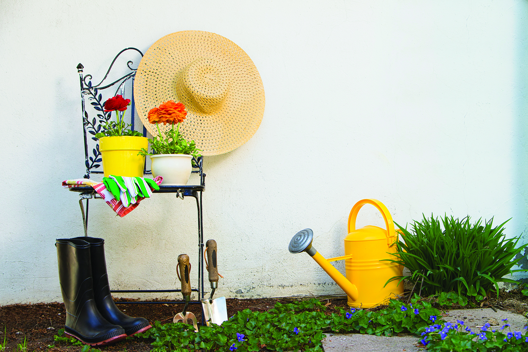 Gardening Tips | Home Insurance | An Post Insurance