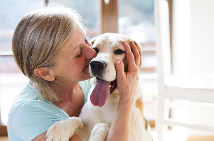 Woman holding Labrador dog – Pet Insurance from An Post Insurance