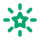 Green icon of a star with rays.