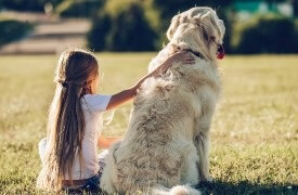 Young girl sitting beside a golden retriever, both facing a scenic view in a grassy field.